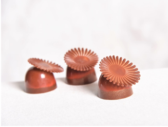 Solaris Orange Hazelnut Spice