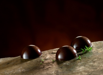 Chocolate Raspberry & Thyme